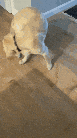 Acid GIFs, September 24 (25 gifs) Acid GIFs, September 24 (25 gifs)