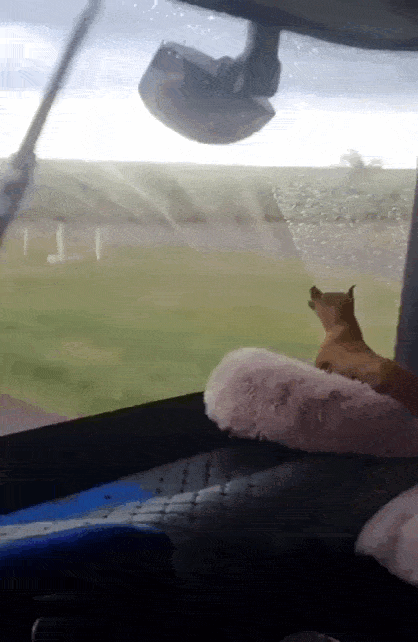 Acid GIFs, September 24 (25 gifs)