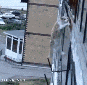 Acid GIFs, September 24 (25 gifs) Acid GIFs, September 24 (25 gifs)
