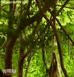 Acid GIFs, September 24 (25 gifs)