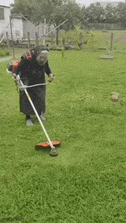 Acid GIFs, September 24 (25 gifs) Acid GIFs, September 24 (25 gifs)
