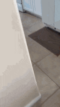 Acid GIFs, September 24 (25 gifs)