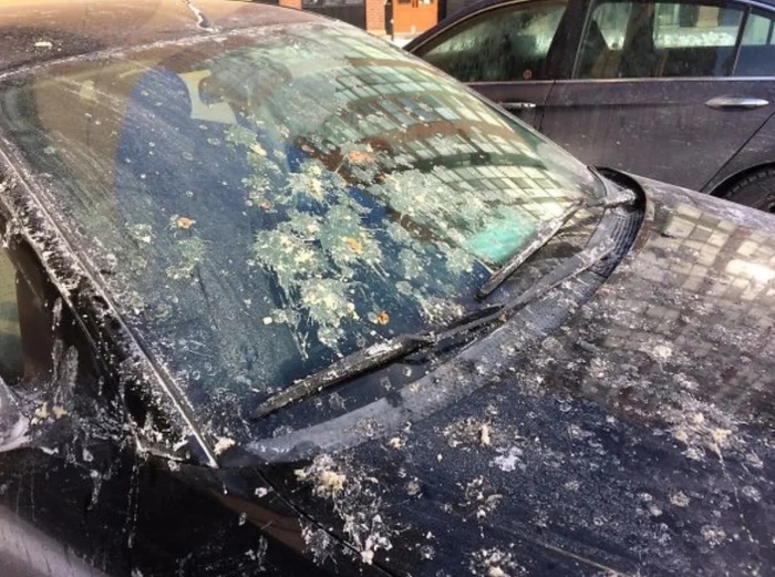 Bad Days Happen (19 pics)