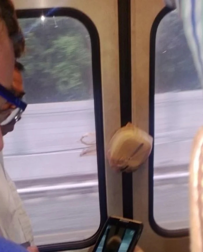 Bad Days Happen (19 pics)