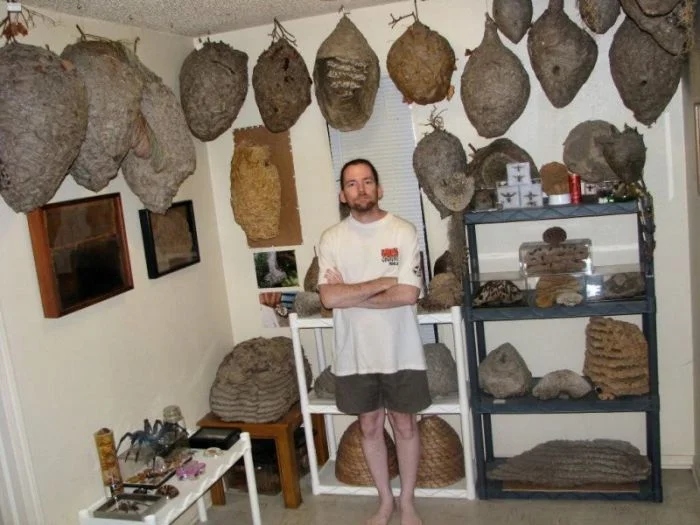 Impressive Collections (18 pics)