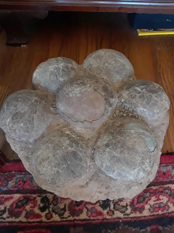 Impressive Collections (18 pics)