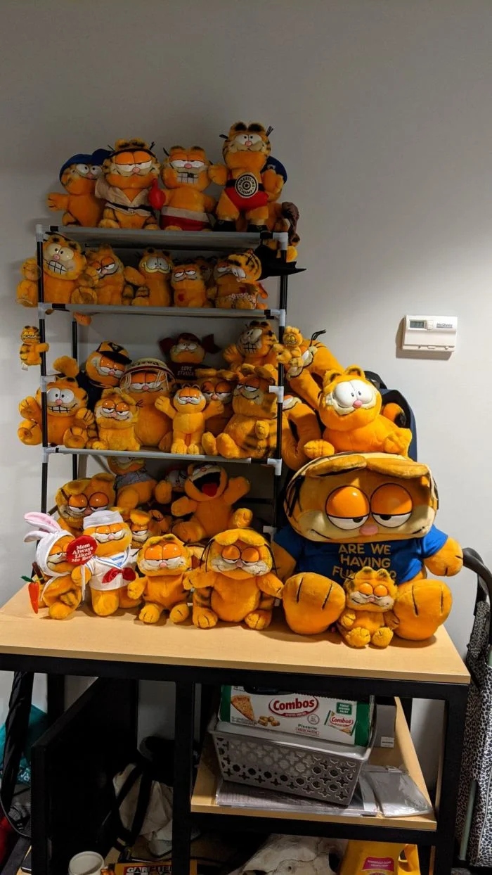 Impressive Collections (18 pics)