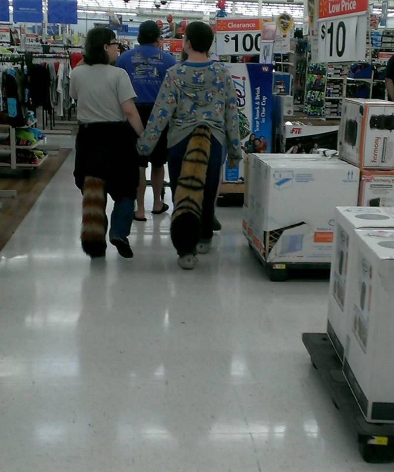 Daily Pictures. Part 1 (64 pics)