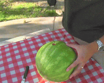 Acid GIFs, September 25 (25 gifs) Acid GIFs, September 25 (25 gifs)