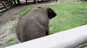 Acid GIFs, September 25 (25 gifs) Acid GIFs, September 25 (25 gifs)