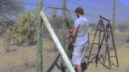 Acid GIFs, September 25 (25 gifs) Acid GIFs, September 25 (25 gifs)
