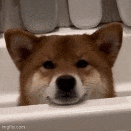 Acid GIFs, September 25 (25 gifs) Acid GIFs, September 25 (25 gifs)