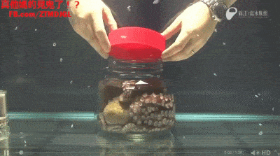 Acid GIFs, September 25 (25 gifs) Acid GIFs, September 25 (25 gifs)