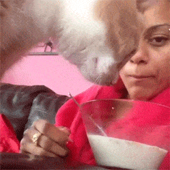 Acid GIFs, September 25 (25 gifs) Acid GIFs, September 25 (25 gifs)