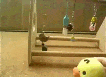 Acid GIFs, September 25 (25 gifs) Acid GIFs, September 25 (25 gifs)