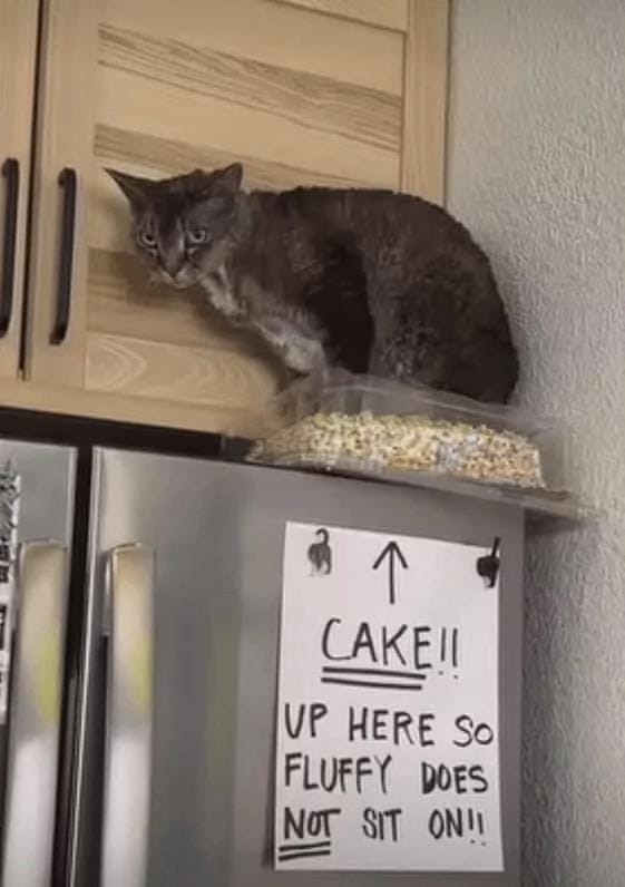 They Don't Care About The Rules (21 pics)
