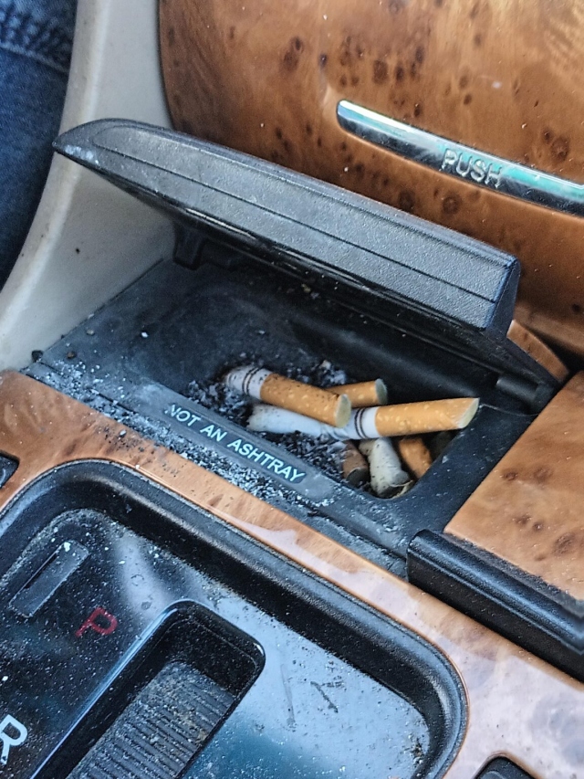 They Don't Care About The Rules (21 pics)