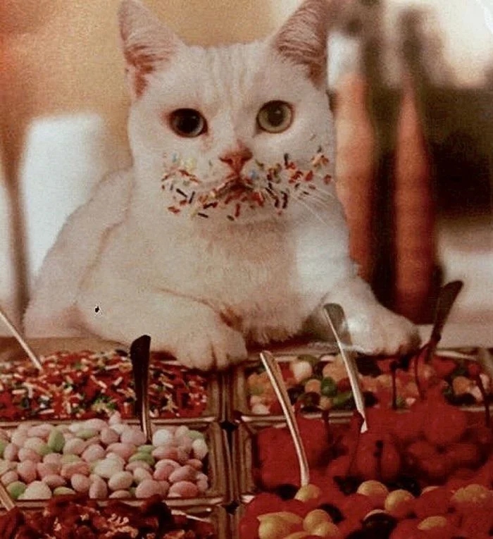 Cheeky But Sweet Thieves (23 pics)