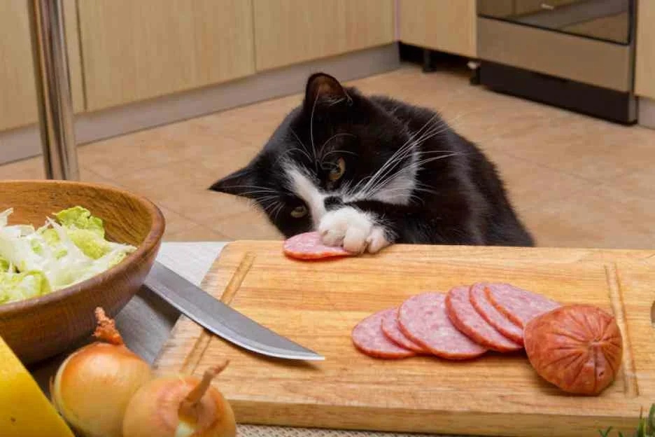 Cheeky But Sweet Thieves (23 pics)