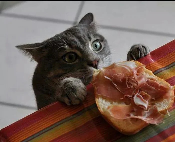 Cheeky But Sweet Thieves (23 pics)