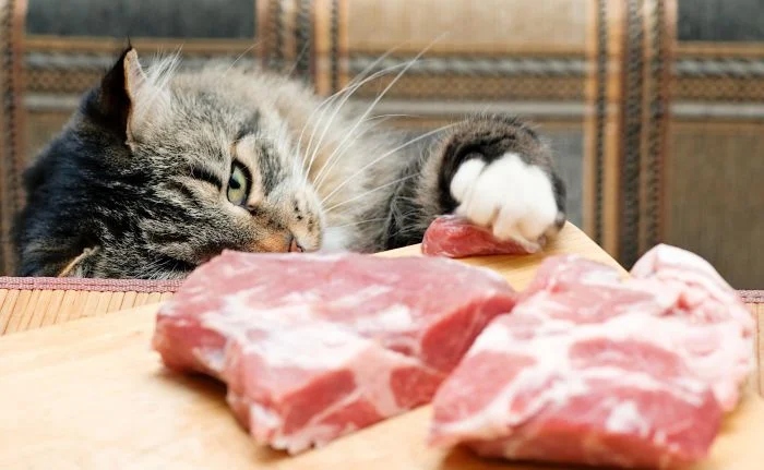 Cheeky But Sweet Thieves (23 pics)