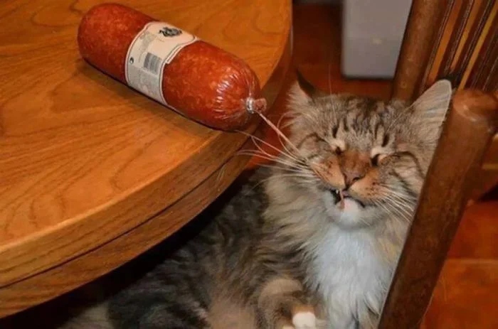 Cheeky But Sweet Thieves (23 pics)