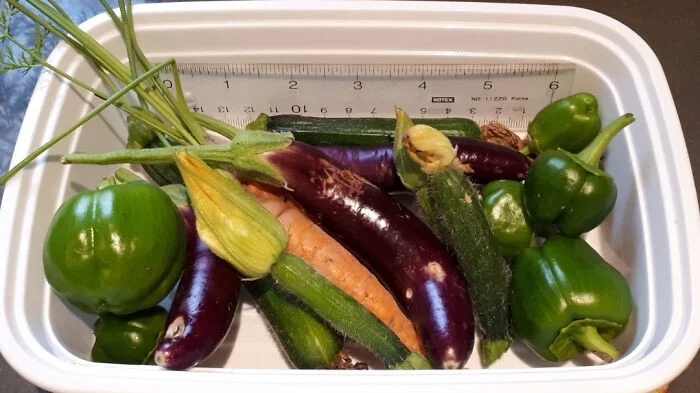 Unsuccessful Harvest (23 pics)