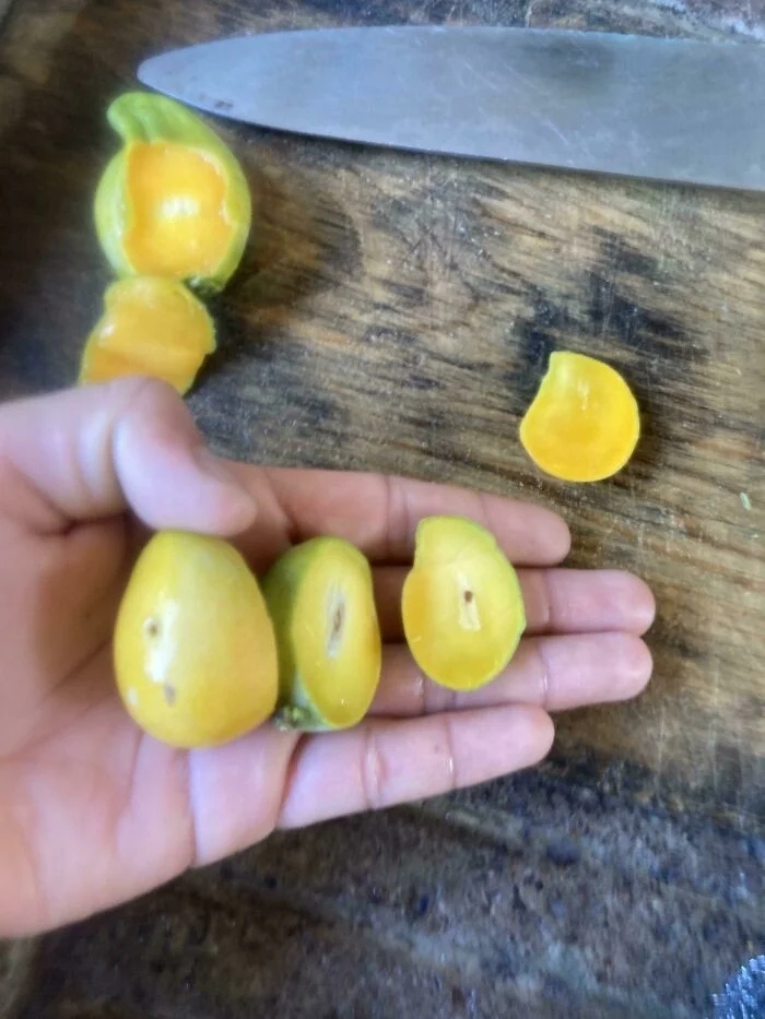 Unsuccessful Harvest (23 pics)