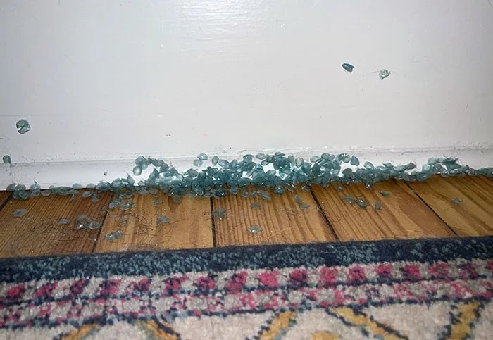 Annoying Situations (25 pics)