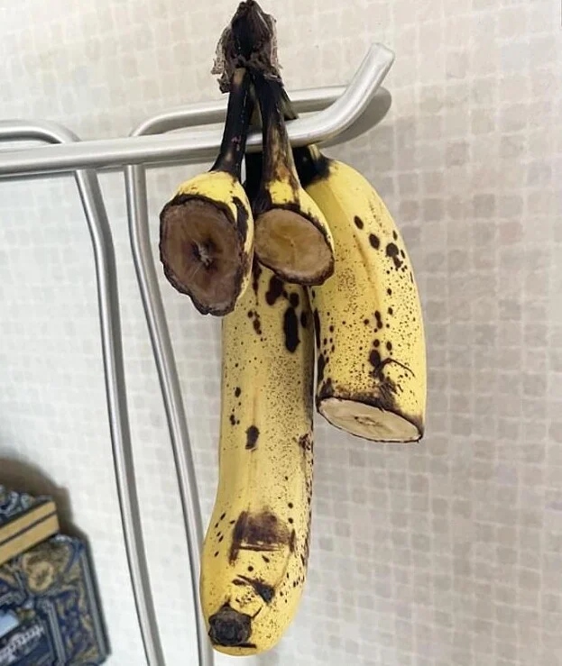 Annoying Situations (25 pics)
