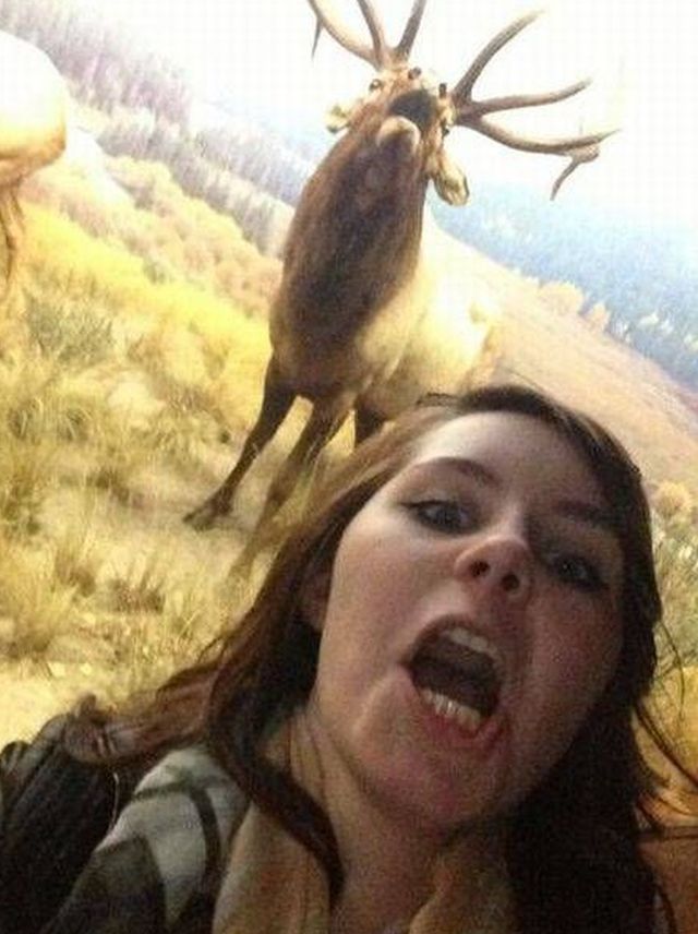 Daily Pictures. Part 1 (64 pics)