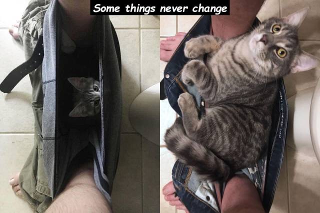 Daily Pictures. Part 2 (63 pics)