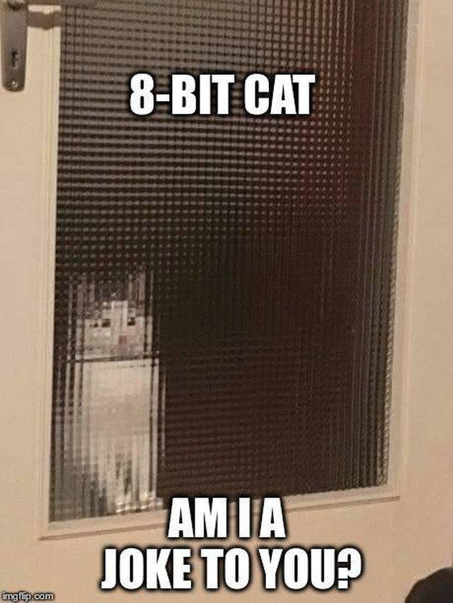 Daily Pictures. Part 2 (63 pics)