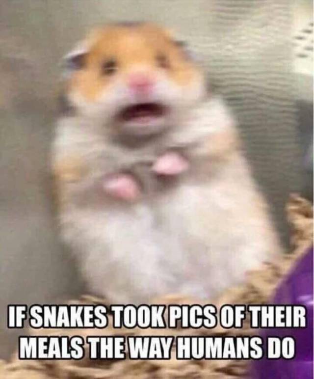 Daily Pictures. Part 2 (63 pics)
