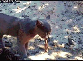 Acid GIFs, September 26 (25 gifs) Acid GIFs, September 26 (25 gifs)