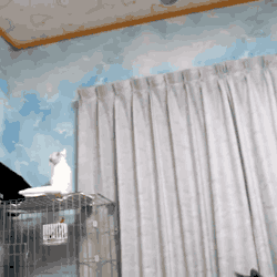 Acid GIFs, September 26 (25 gifs) Acid GIFs, September 26 (25 gifs)