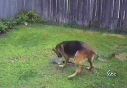 Acid GIFs, September 26 (25 gifs) Acid GIFs, September 26 (25 gifs)