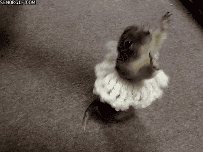 Acid GIFs, September 26 (25 gifs) Acid GIFs, September 26 (25 gifs)