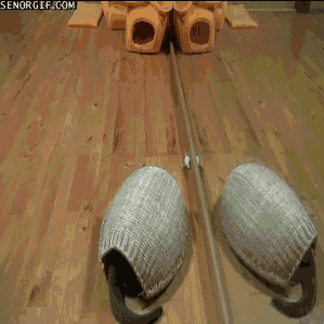 Acid GIFs, September 26 (25 gifs) Acid GIFs, September 26 (25 gifs)