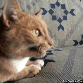 Acid GIFs, September 26 (25 gifs) Acid GIFs, September 26 (25 gifs)