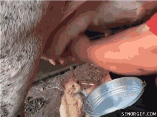 Acid GIFs, September 26 (25 gifs) Acid GIFs, September 26 (25 gifs)