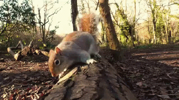 Acid GIFs, September 26 (25 gifs) Acid GIFs, September 26 (25 gifs)