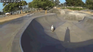 Acid GIFs, September 26 (25 gifs) Acid GIFs, September 26 (25 gifs)