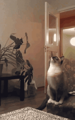 Acid GIFs, September 26 (25 gifs) Acid GIFs, September 26 (25 gifs)