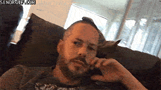 Acid GIFs, September 26 (25 gifs) Acid GIFs, September 26 (25 gifs)