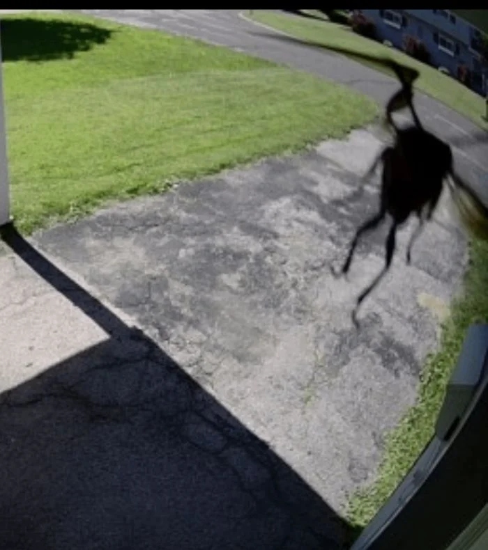 Creepy Photos (16 pics)