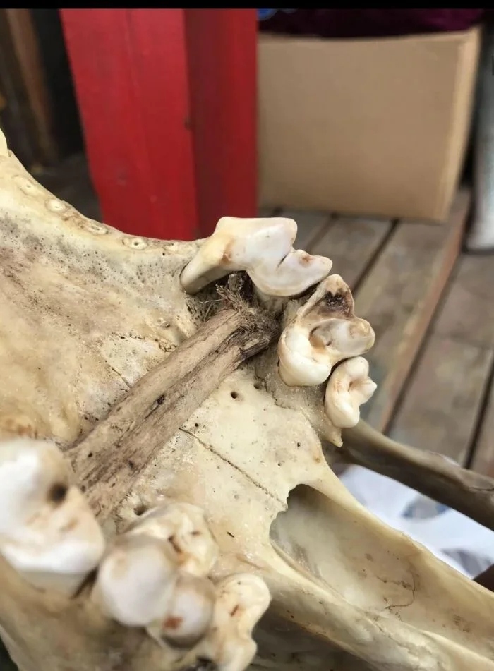 Creepy Photos (16 pics)