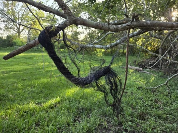 Creepy Photos (16 pics)