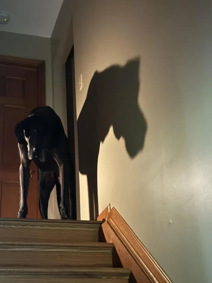 Creepy Photos (16 pics)