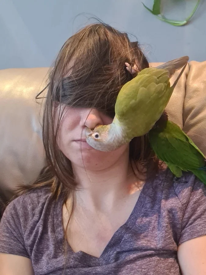 Pets Are Chaos (18 pics)